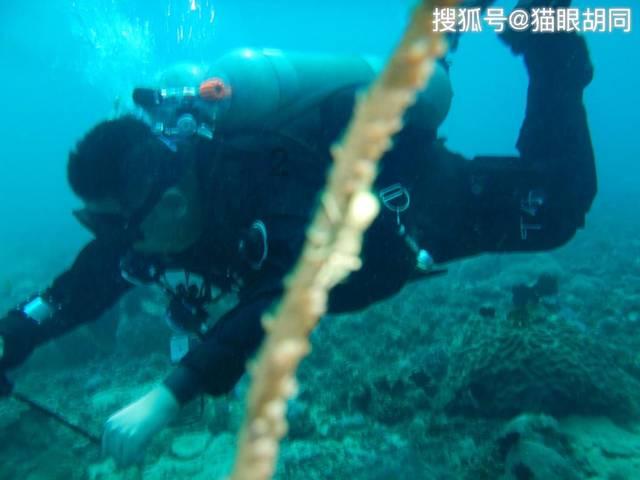 篮球运动员营救